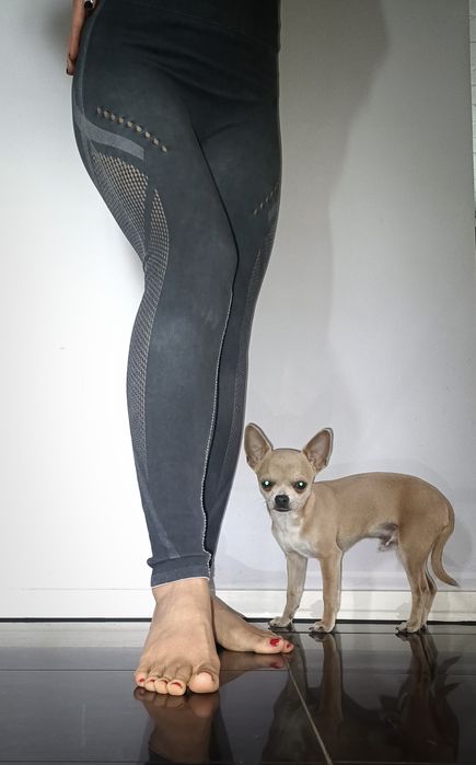 Oddychające legginsy Adidas
