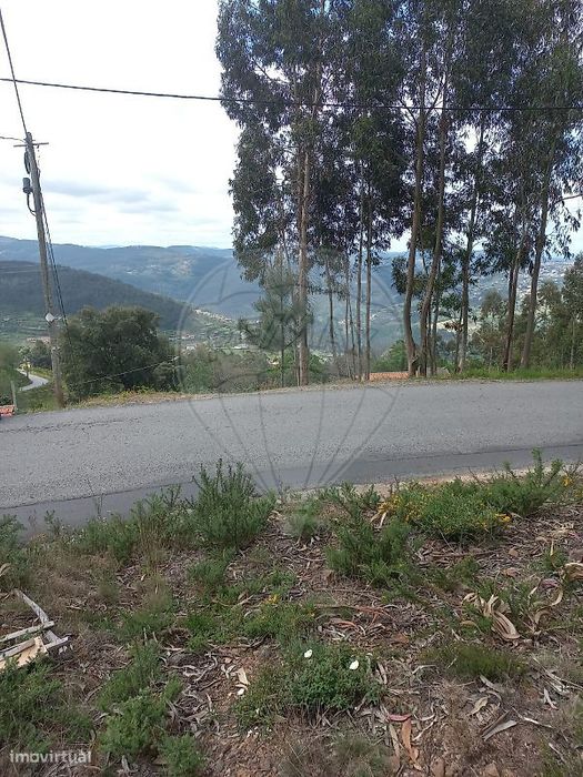 Terreno  para venda — Travanca, Viseu