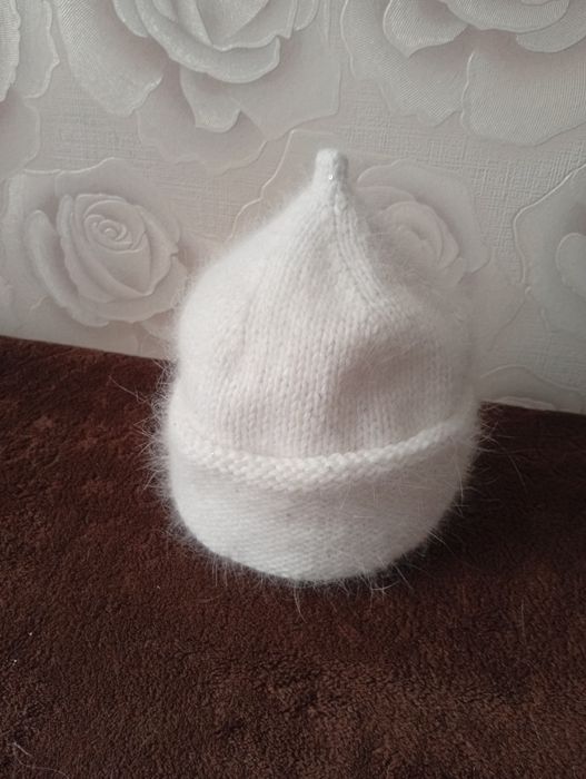 Пухнасті коти ангорки