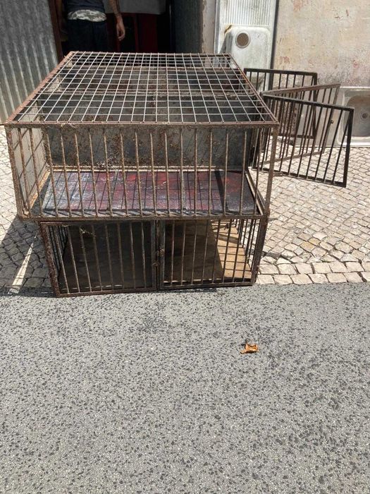 Caixa de Transporte para Cães em Ferro Reforçado – Tripla |146 × 113 × 41 cm