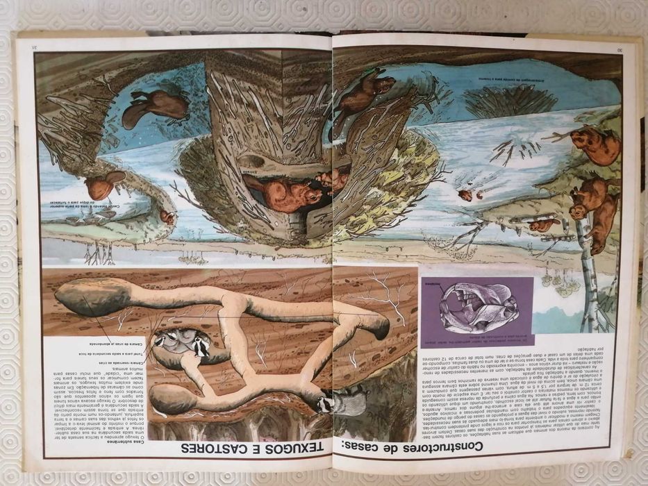 Livro ver e aprender - maravilhas da natureza