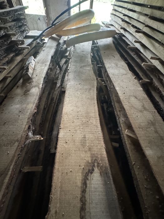 Dąb deski tarcica nie obrzynany