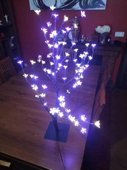 Árvore de natal iluminada.