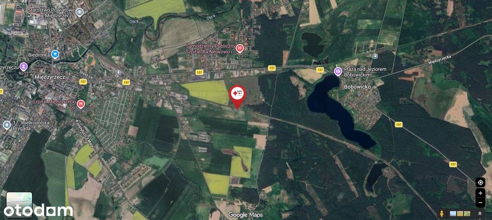 Działki z projektem domu, tuż za Międzyrzeczem, obręb Kuźnik - Widok 3