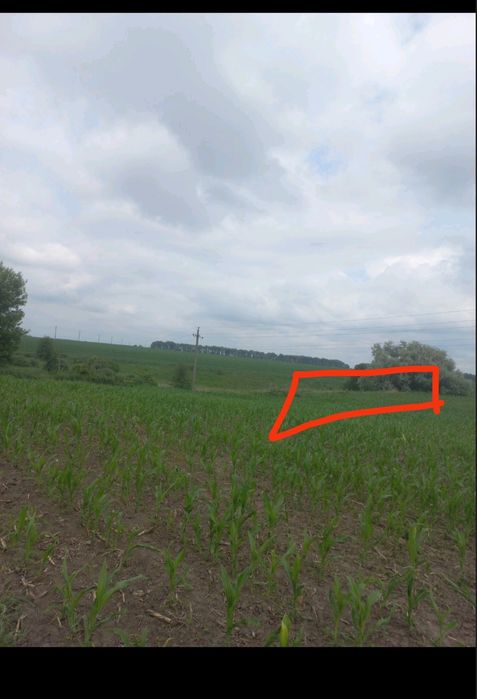 Продається ділянка для індивідуального садівництва - Вид 3