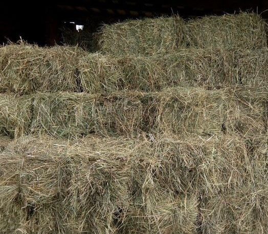 Продам сіно в тюках