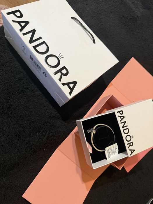 Срібний браслет Pandora