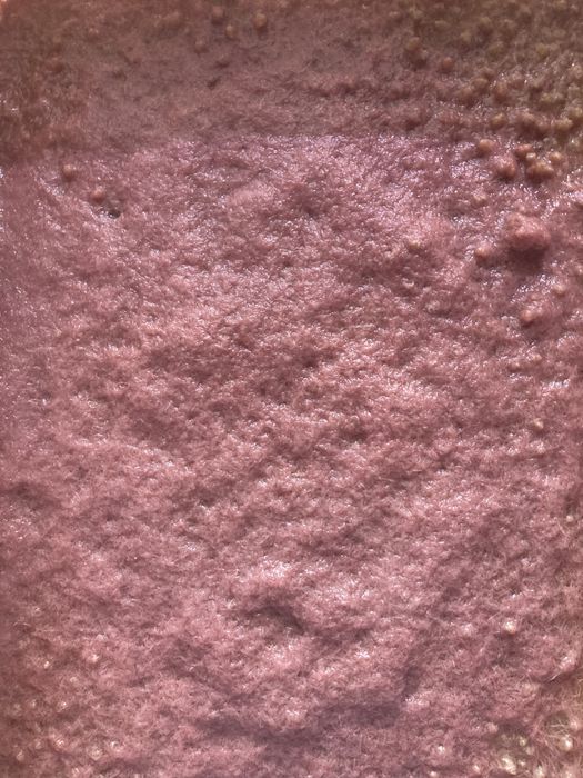 Трубочник Изя. Израильский трубочник Изя. Живой корм для рыбок