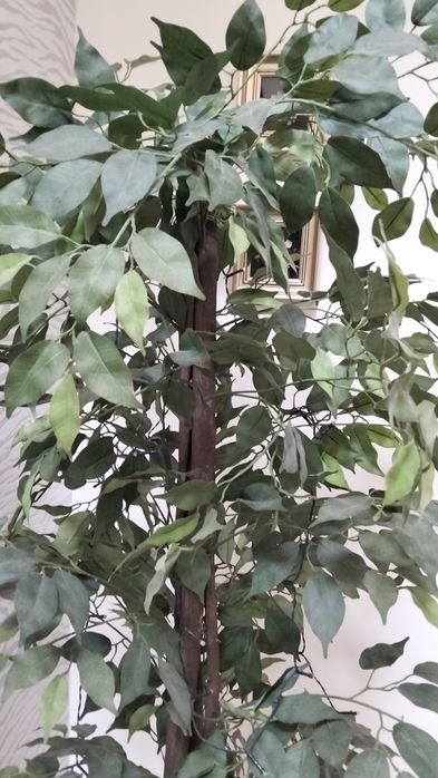 Planta artificial de Ficus