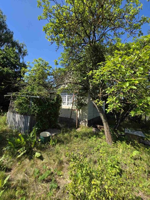 Продаж дачі Нова Українка