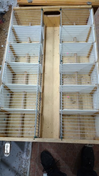 Transportadora de aves