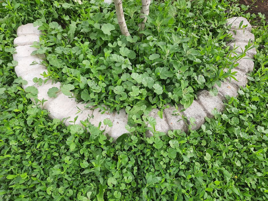 Бетонный бордюр поребрик круговой садовый для дерева клумбы радиусный