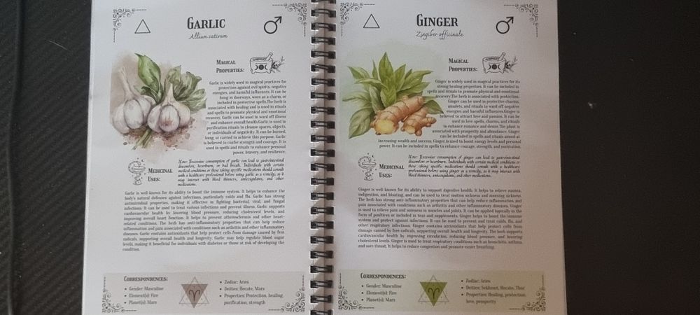 Sprzedam figurkę + książka po angielsku