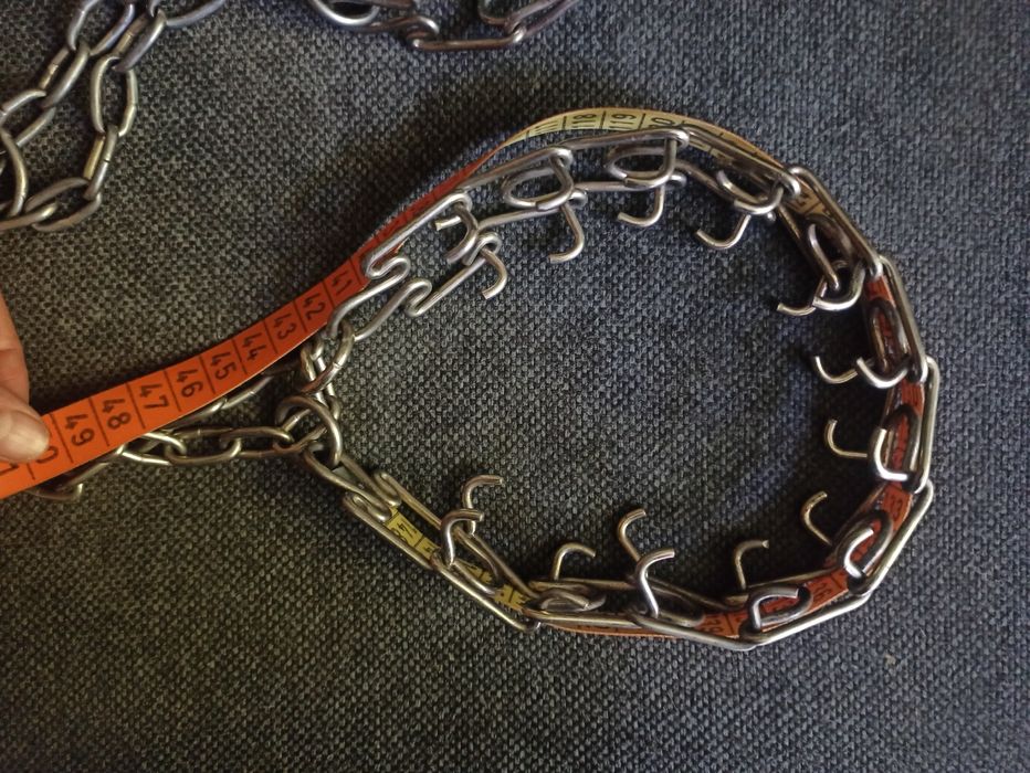 Строгий ошийник для собаки