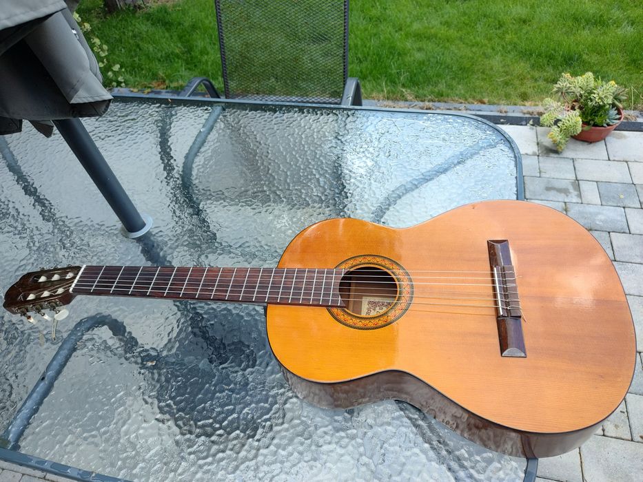 Ariana G15 by Aria świetna gitara klasyczna Superwygodna Brzmienie !!