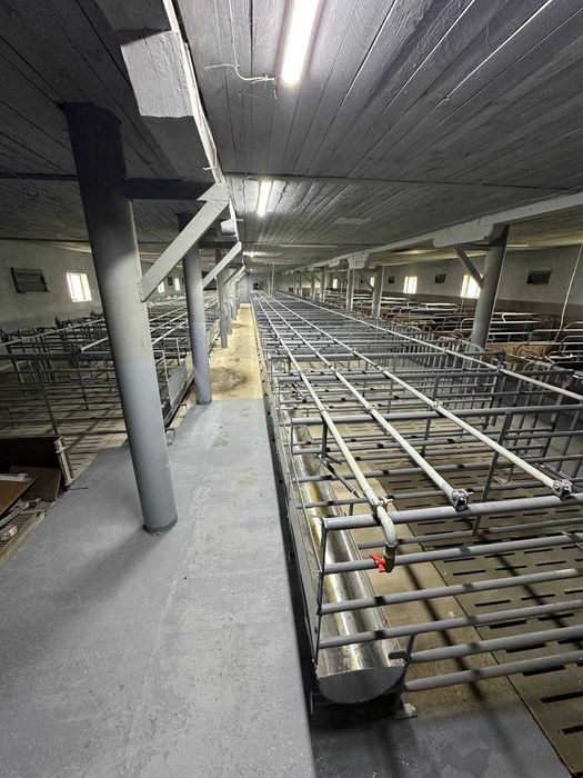 Ферма, господарські будівлі та споруди