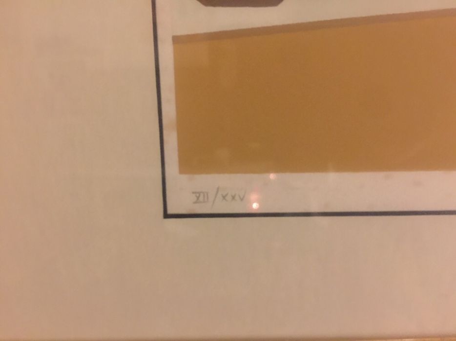 Serigrafia quadro Maluda