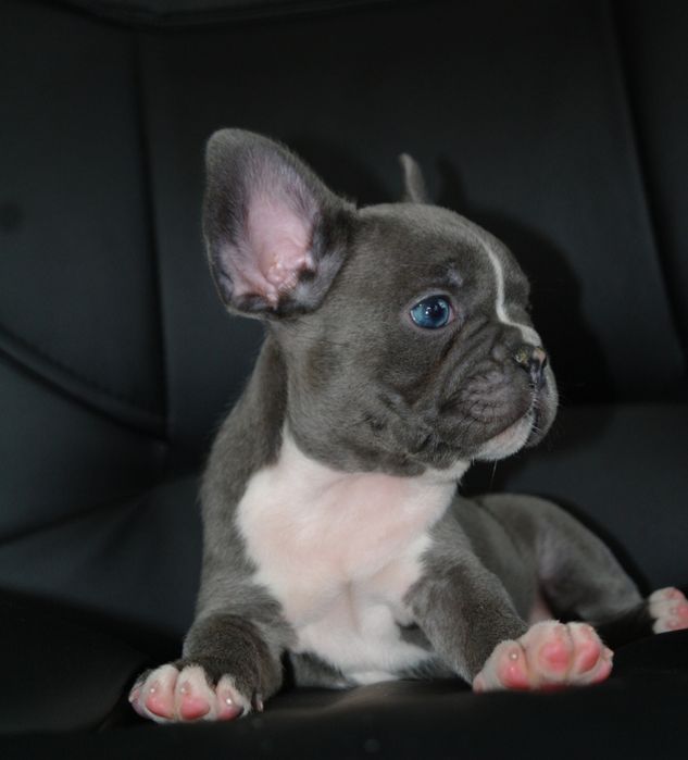 Шикарная девочка ждёт семью