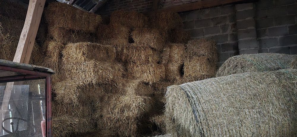 Słoma 2025 duża ilość