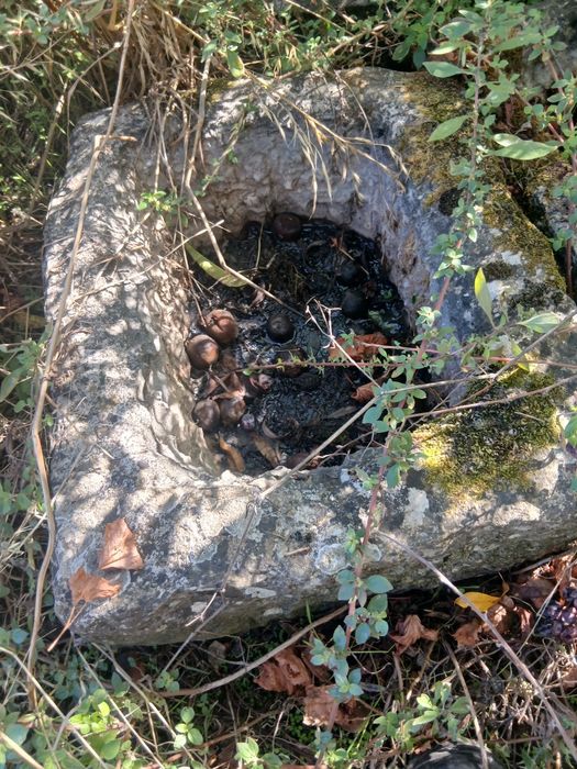 Pias de pedra antigas em bom estado calon