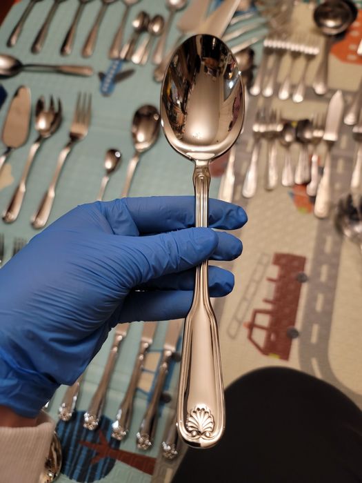 Набір столовых приборов цептер/цептор VENUS венус zepter