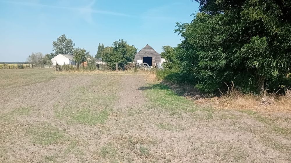 Działka, siedlisko na sprzedaż