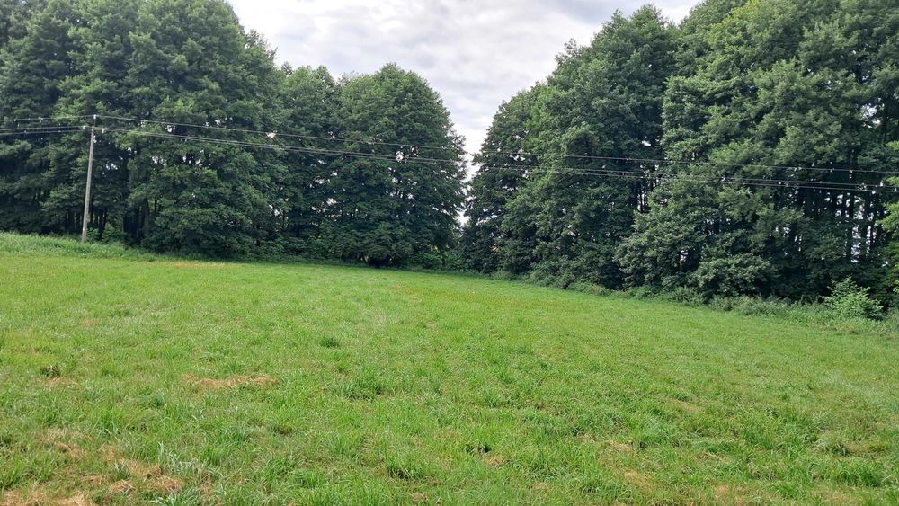 Dom sprzedam +gospodarstwo
