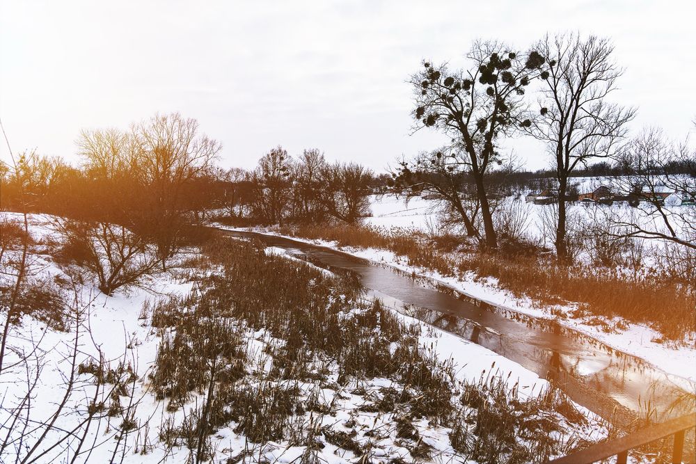 Оренда будинку з чаном