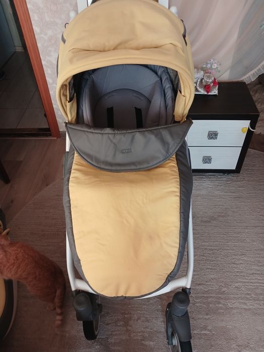 Дитяча коляска Anex Sport