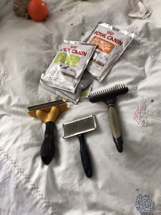 поводки для собаки