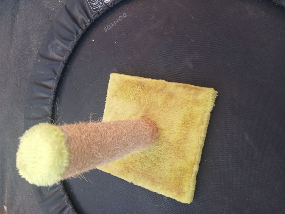 Arranhador para gatos, muito pouco utilizado.