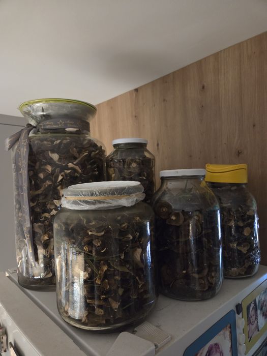 Suszone podgrzybki krojone tegoroczne 250 g
