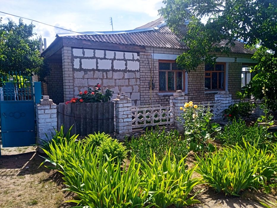 Продаю дім, Нова Одеса