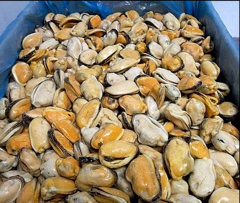 Мясо мидии 100-200