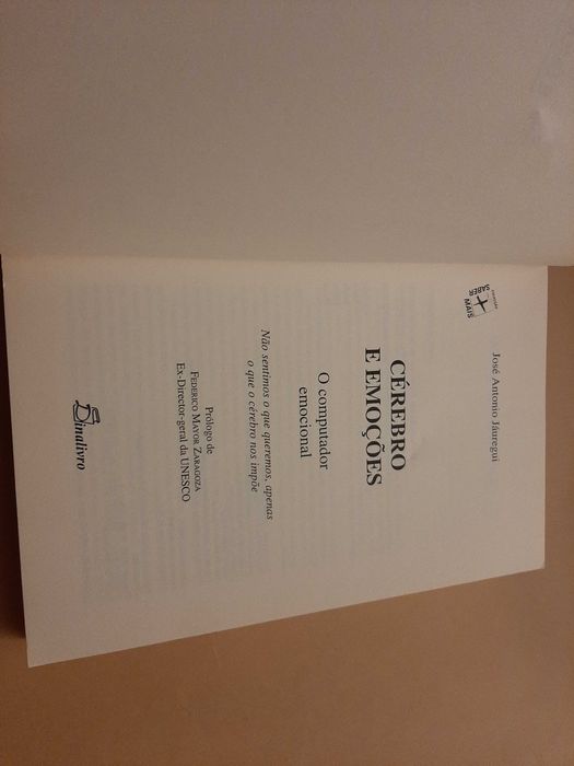 Cérebro e Emoções: o Computador Emocional