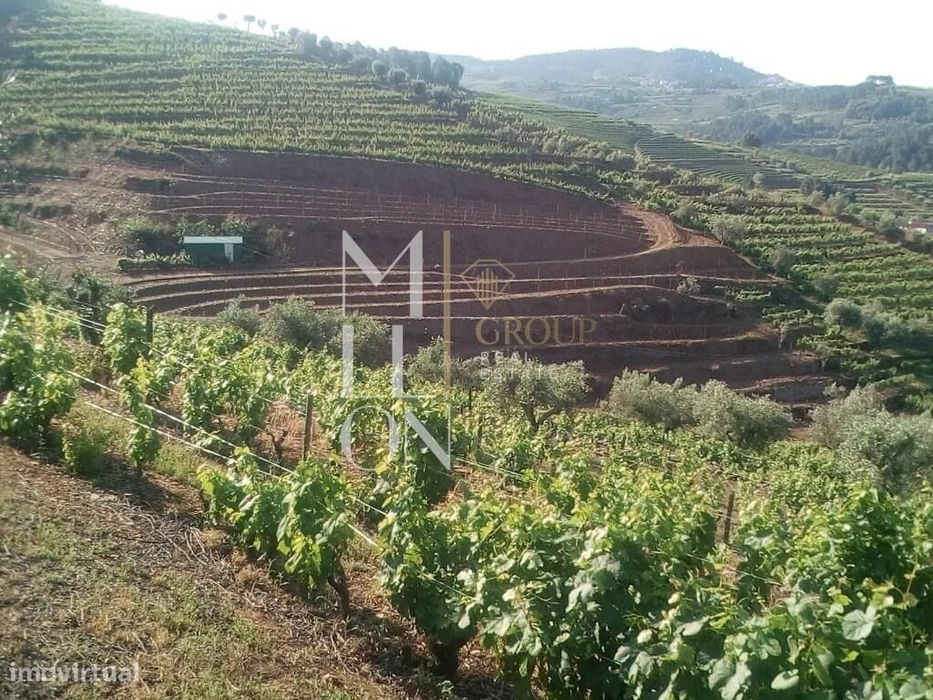 Encantadora Quinta com cerca de 3 Hectares de Tradição e Beleza Natura