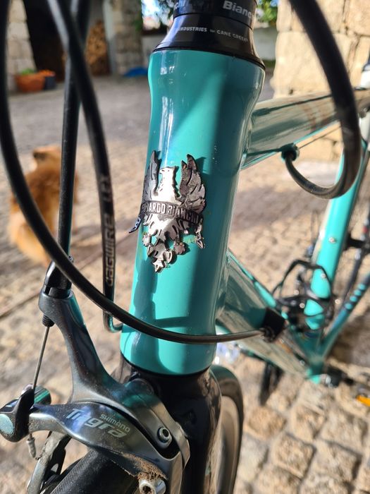 Bianchi Nirone ALU CARBON celeste