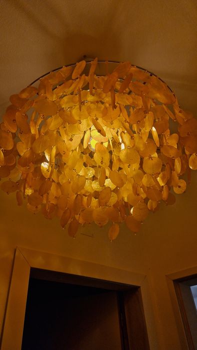 Candeeiro Gato Preto