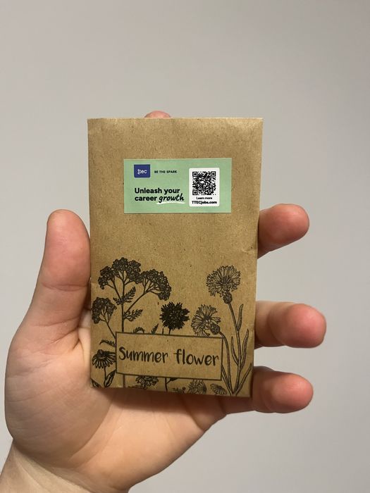 Nasiona kwiaty polne