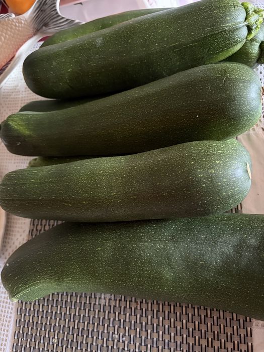 Curgette biológica