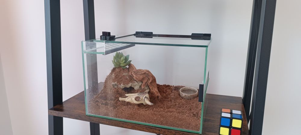 Terrarium 20*20*30 + pająk b.e