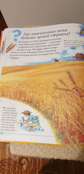 Большая энциклопедия дошкольника