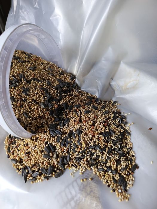 Насіння збалансоване в контейнері та на вагу