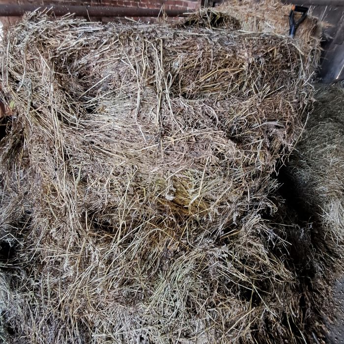 Sianokiszonka z Mieszanki Gorzowskiej