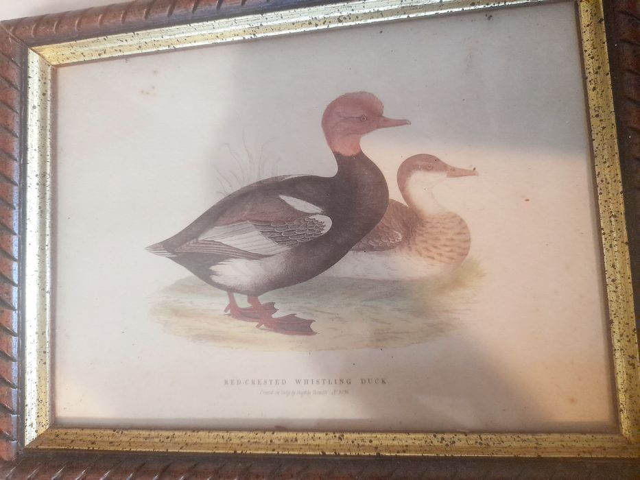 Quadro Chaveiro Vintage