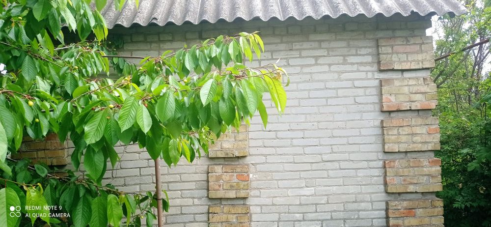 Дача в Космическом микрорайоне