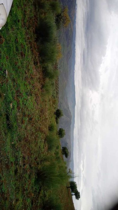 Terreno 15000m2 (1,5h)