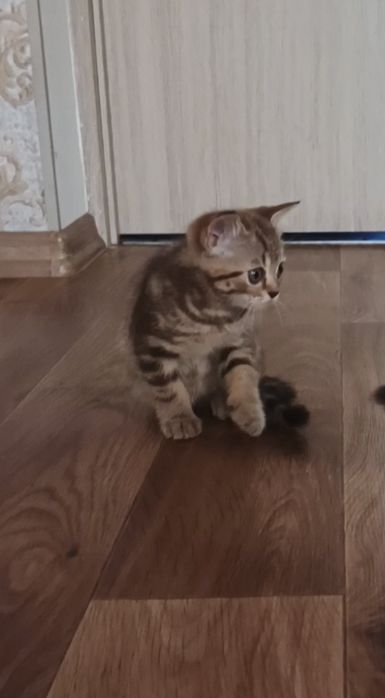очаровательные малыши
