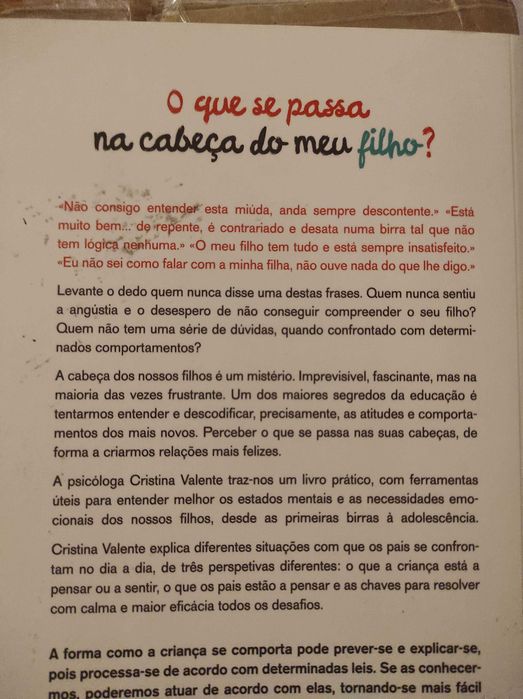 Cristina Valente - Que se passa Cabeça Filho ( Portes grátis)