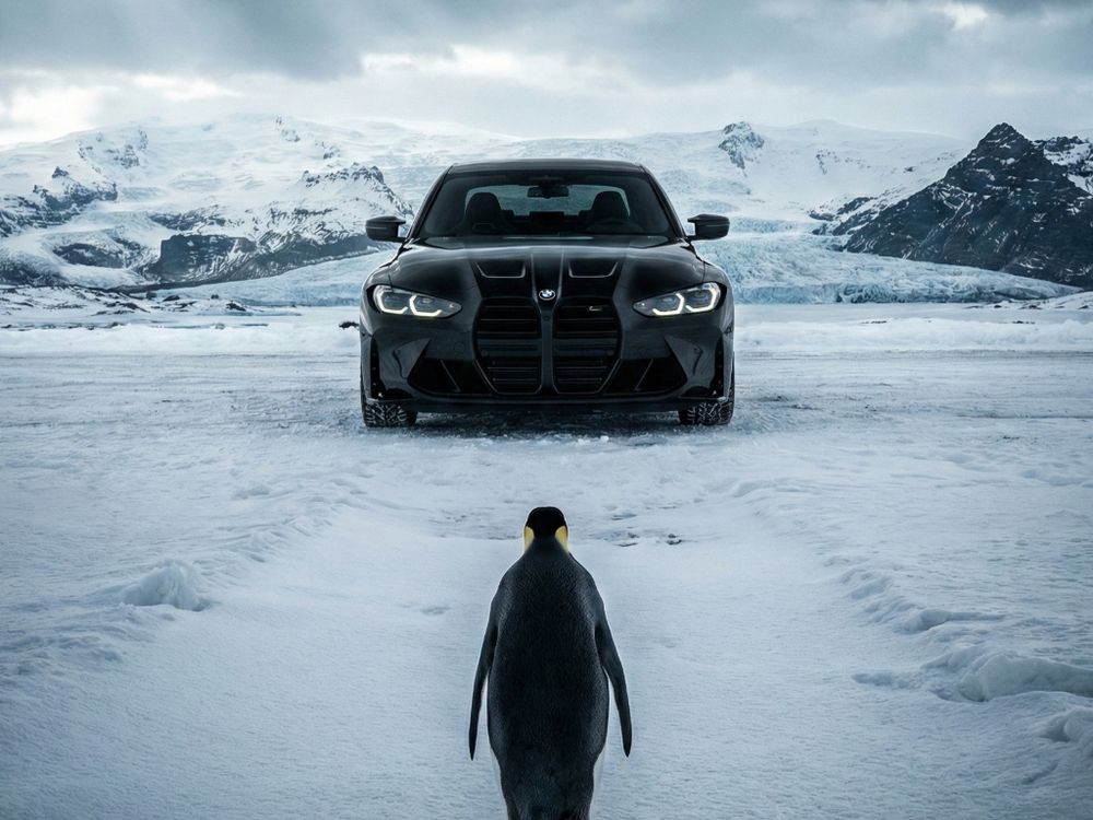 business-site-gallery-photo